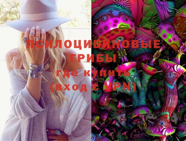 ешки Арсеньев