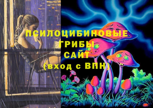 ешки Арсеньев
