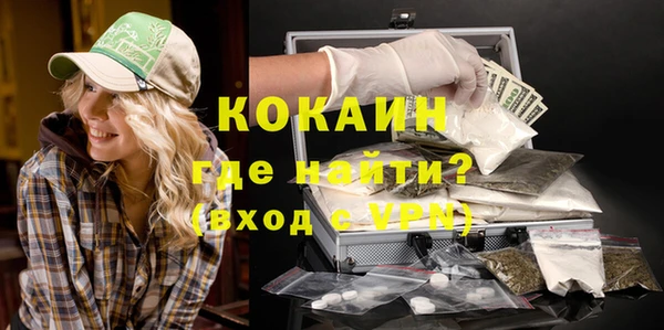 ешки Арсеньев