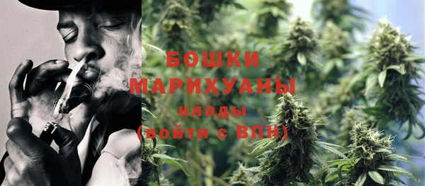 ешки Арсеньев