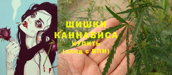 spice Осинники