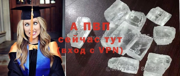ешки Арсеньев